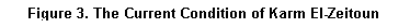 Casella di testo: Figure 3. The Current Condition of Karm El-Zeitoun
